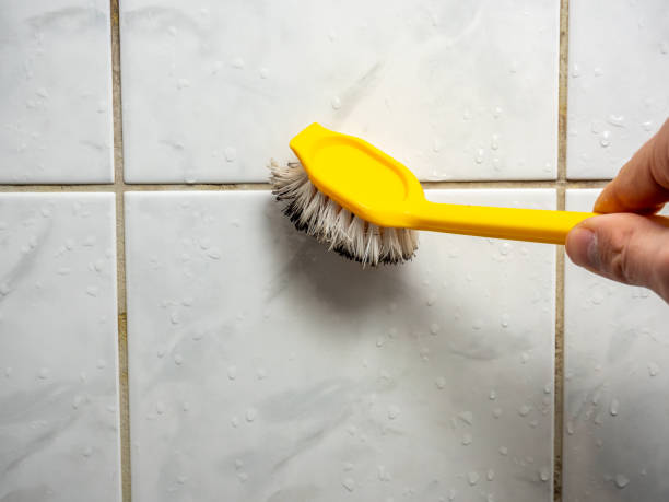 Best Mold Cleaning Services  in Manhasset Hills, NY